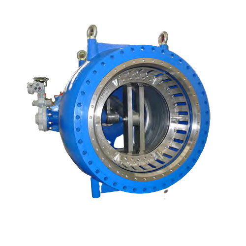 Plunger Valve
