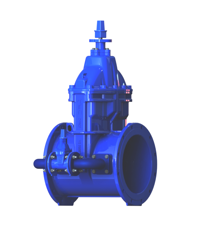RSV Gate Valve – By-Pass