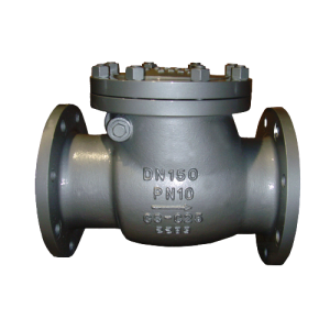 DIN Check Valve