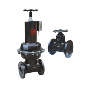 Diaphragm Valve
