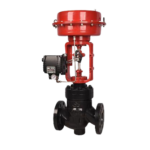 Globe Control Valve