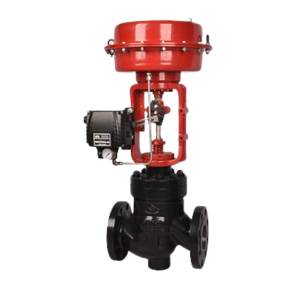 Globe Control Valve