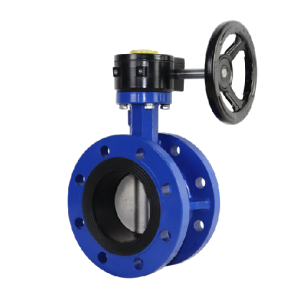 Concentric Flange Butterfly Valve