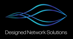 dns logo