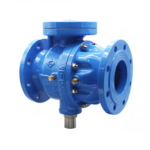 Back flow preverntor