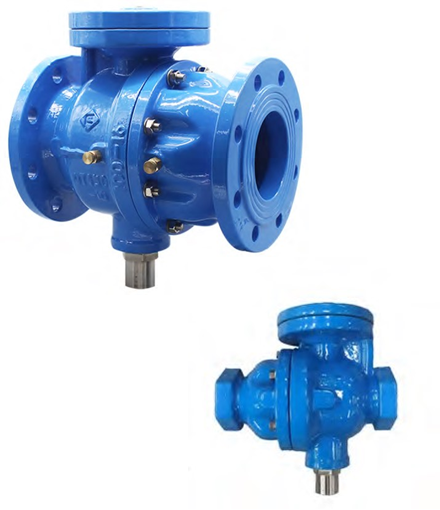 Back flow preverntor