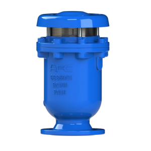 Variant Combination Air Release and Vacuum Break